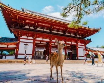 Nara
