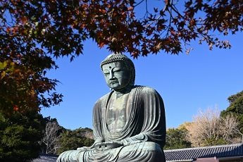 Kamakura - Osaka