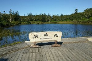 Niseko Panorama Line & Shinsen Marsh, La villa Lupicia, and Milk Kobo Course (Excluding Multilingual