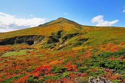구리코마산 단풍 버스