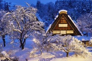 白川乡合掌造民家园点灯行程