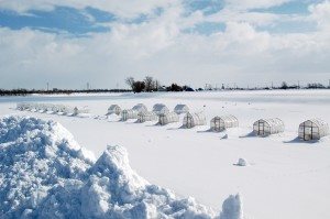 Ice Fishing Experience: Wakasagi Smelt Fishing&Shinshinotsu Hot Spring Tour (No Multilingual Audio)