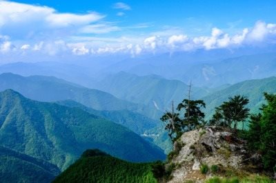 大台原直通巴士