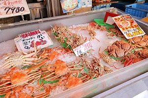 札幌市(北海道)-札幌市(北海道)高速巴士