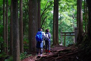 Course C: Kumano Trails & Nakahechi with local storytellers 