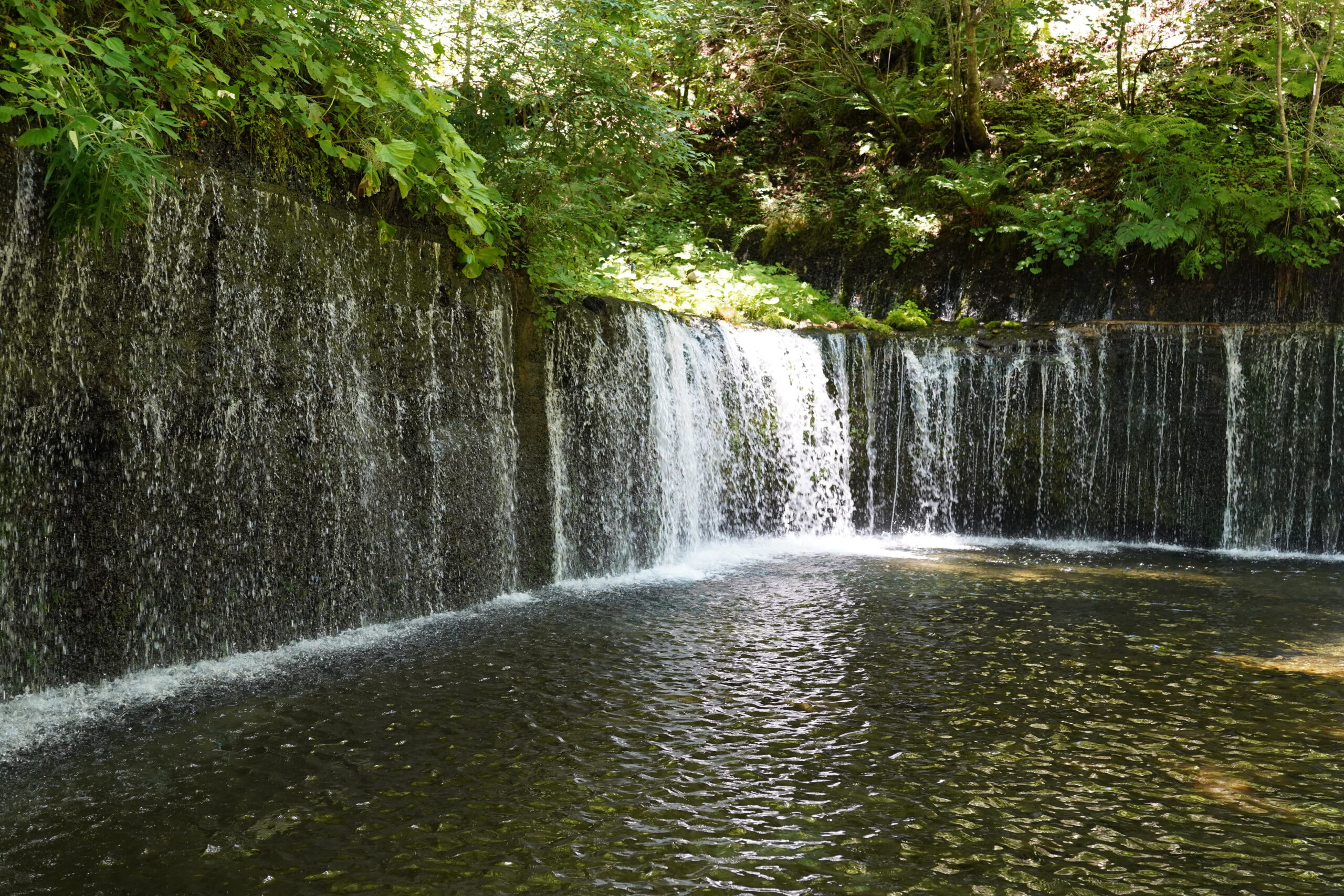 Let S Take A Summer Retreat To Karuizawa From Ikebukuro By Highway Bus Busrepo