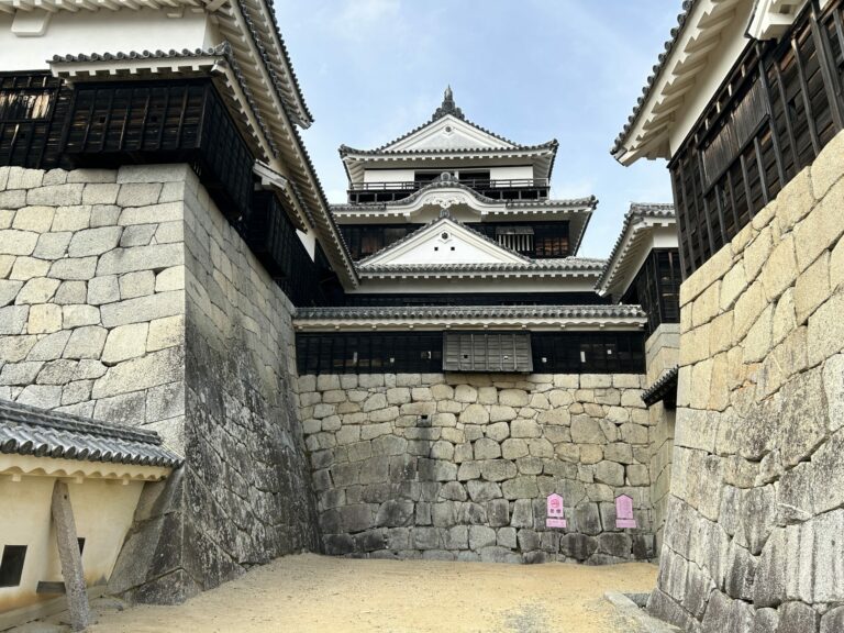 Matsuyama Castle 