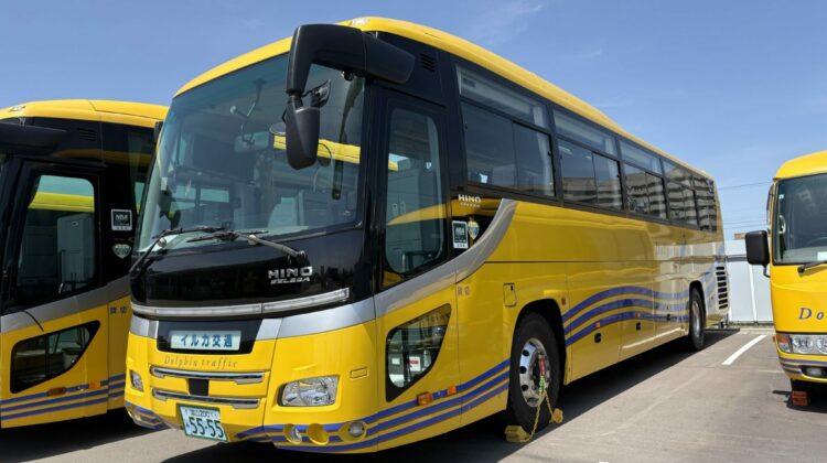 KitoKito Liner